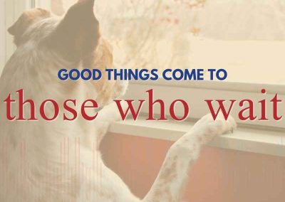 Episode 137 – Good Things Come to Those Who Wait